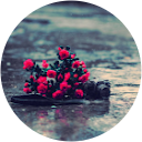 LIJIYA RAJAN A R LIJIYA RAJAN A R